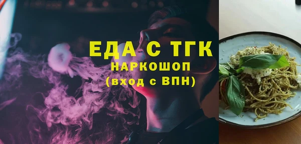 прущие грибы Новозыбков