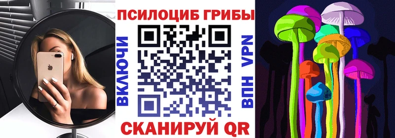 блэк спрут зеркало  Карталы  Псилоцибиновые грибы GOLDEN TEACHER 